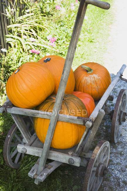 Orange pumpkins in wooden cart — Stock Photo