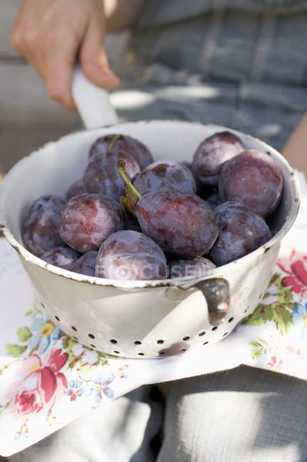 Woman holding colander with plums — Stock Photo