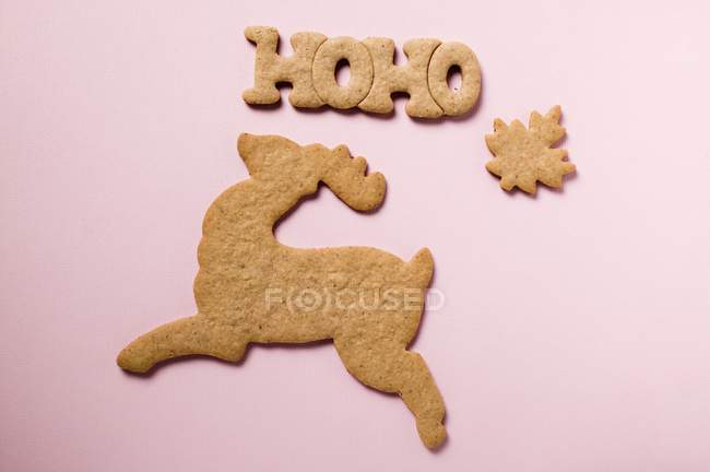 Biscoitos de gengibre para o Natal — Fotografia de Stock