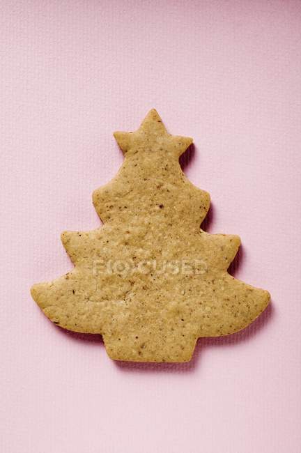 Gingerbread fir tree — Stock Photo