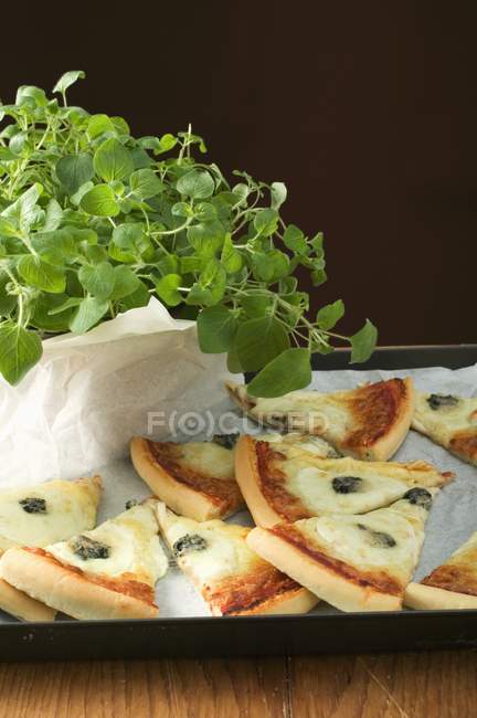 Three cheese pizza with oregano — Stock Photo