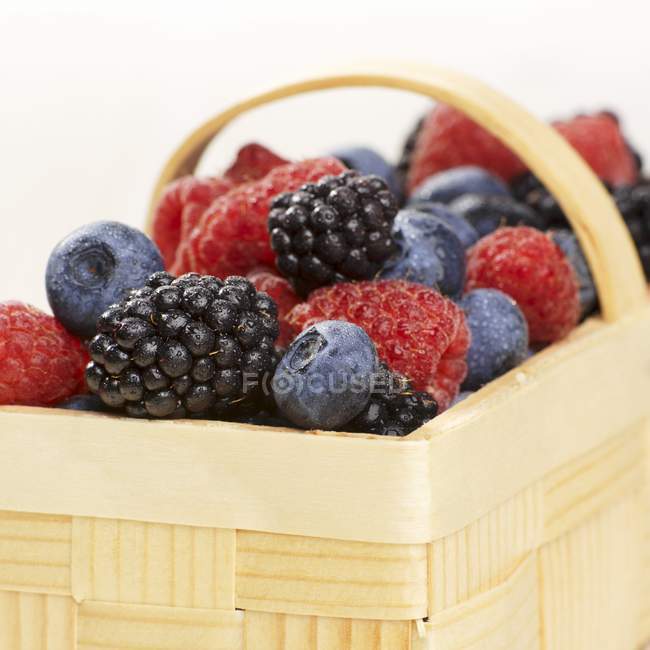 Fresh Assorted berries — Stock Photo