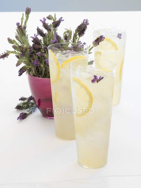 Vasos de limonada de lavanda - foto de stock