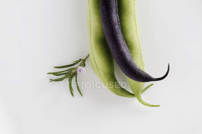 Purple and green beans — Stock Photo