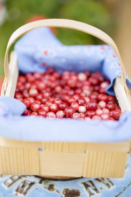 Cranberries in woodchip basket — Stock Photo