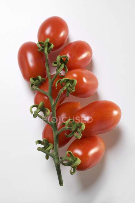 Tomates de ciruela frescos - foto de stock