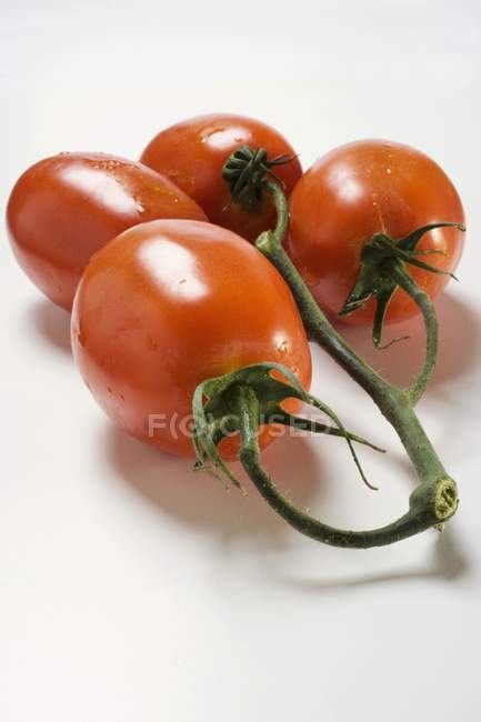 Tomates de ameixa fresca — Fotografia de Stock