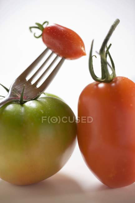 Três tomates diferentes — Fotografia de Stock
