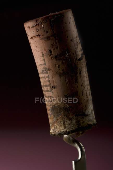 Closeup view of wine cork on corkscrew — Stock Photo