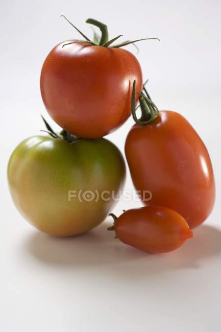 Чотири різних помідори — стокове фото
