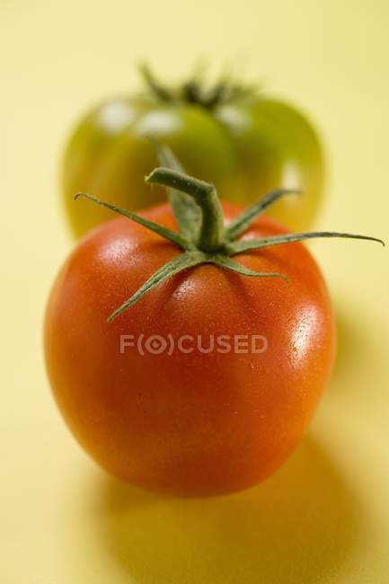 Два різних помідори — стокове фото