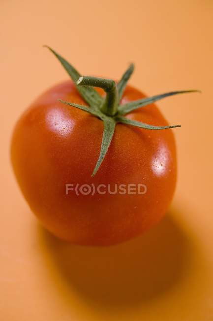 Tomate rojo maduro - foto de stock