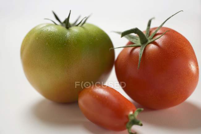 Trois tomates différentes — Photo de stock