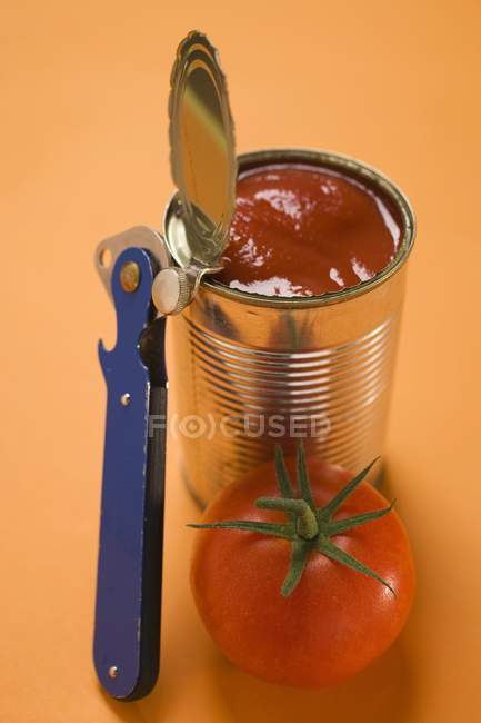 Tomate fresco junto a la lata de comida abierta en la superficie naranja - foto de stock