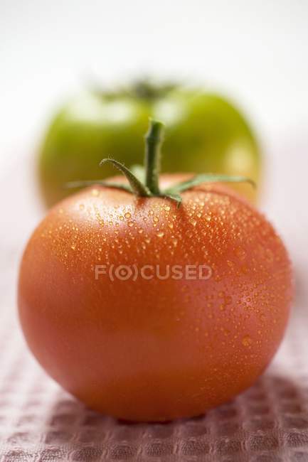 Зеленый и красный помидоры — стоковое фото