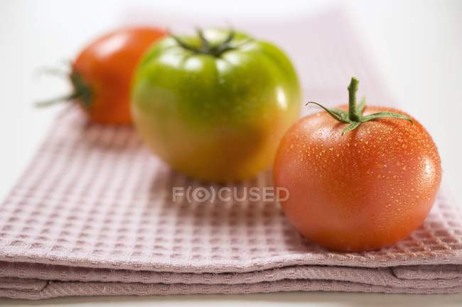 Green and red tomatoes — Stock Photo