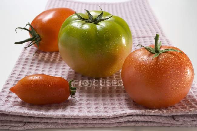 Tomates vertes et rouges — Photo de stock