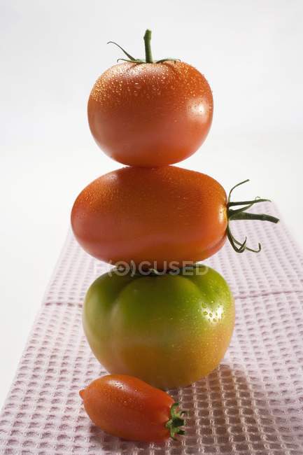 Tomates verdes y rojos - foto de stock
