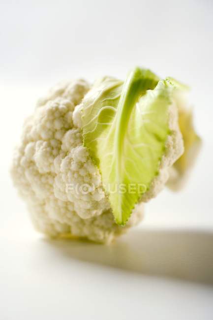 Cauliflower floret, close-up — Stock Photo