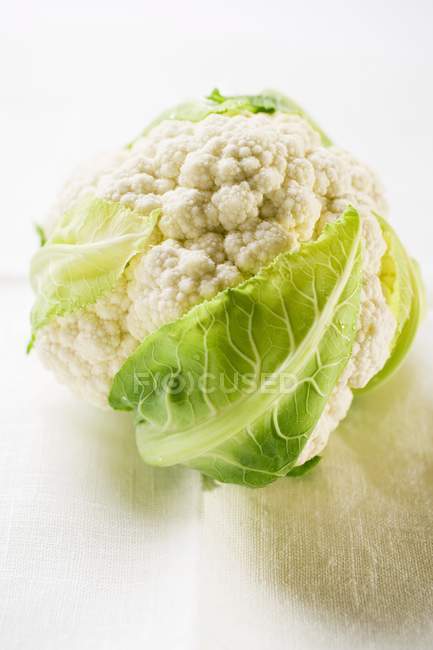 Whole cauliflower, close-up — Stock Photo