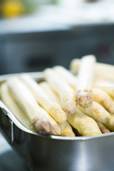 Ramos de espargos brancos — Fotografia de Stock