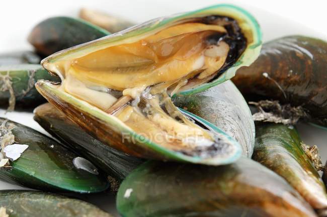 Fresh Green mussels — Stock Photo