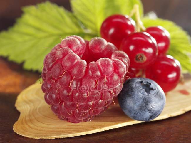 Raspberry with blueberry and redcurrants — Stock Photo