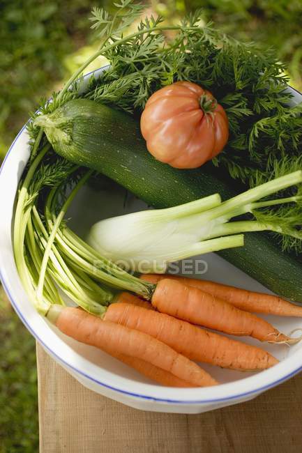 Fresh ripe vegetables — Stock Photo