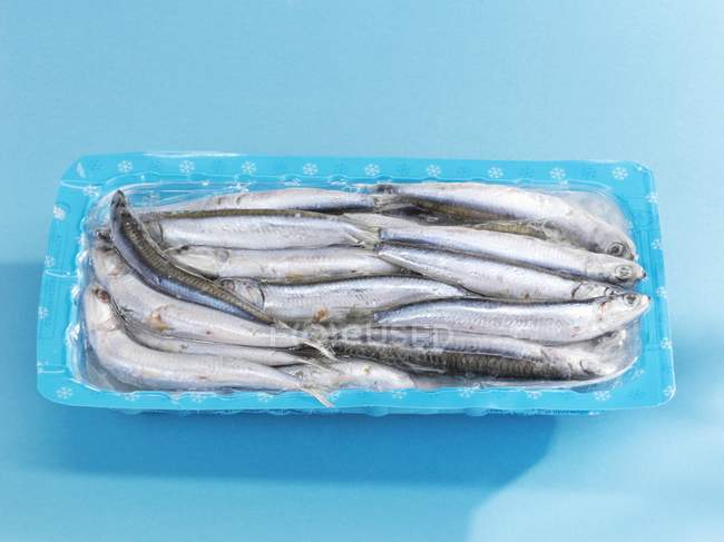 Frozen anchovies in dish — Stock Photo
