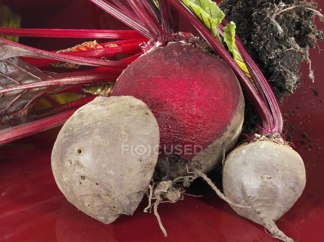 Barbabietole fresche mature — Foto stock