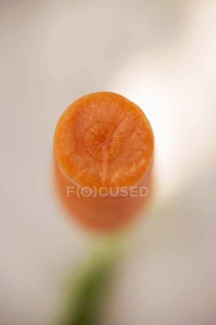 Fresh slice of carrot — Stock Photo