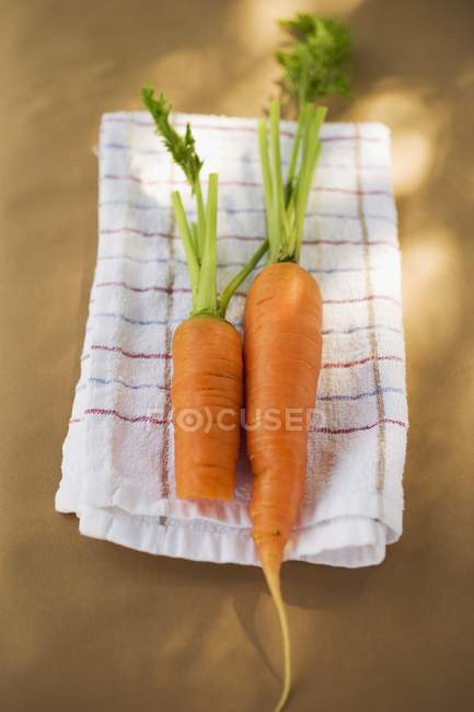 Fresh carrots with stalks — Stock Photo