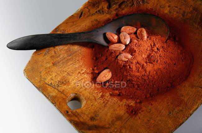Cocoa powder and cocoa beans — Stock Photo