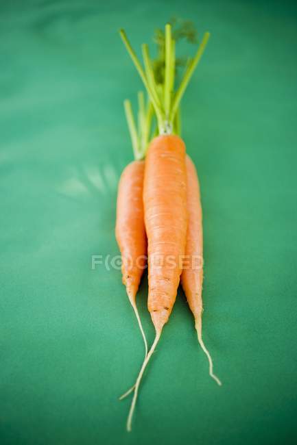 Fresh ripe carrots — Stock Photo