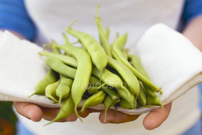 Людські руки тримають зелені боби — стокове фото