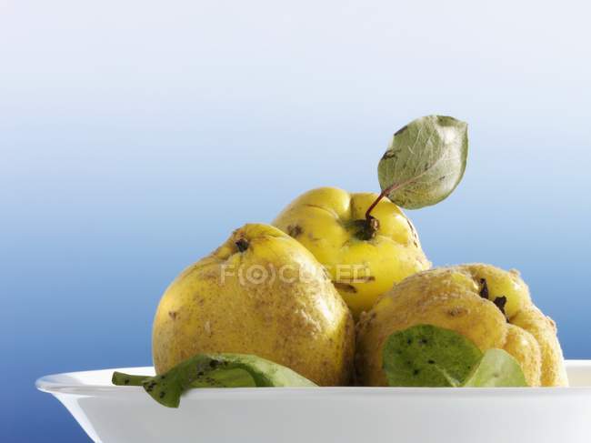 Fresh Quinces in bowl — Stock Photo