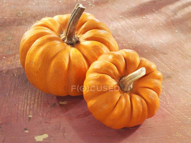 Citrouilles orange fraîches — Photo de stock