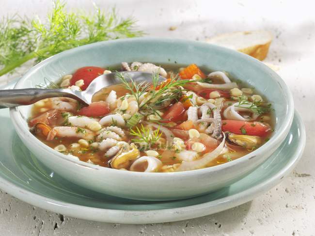 Seafood soup with fennel — Stock Photo