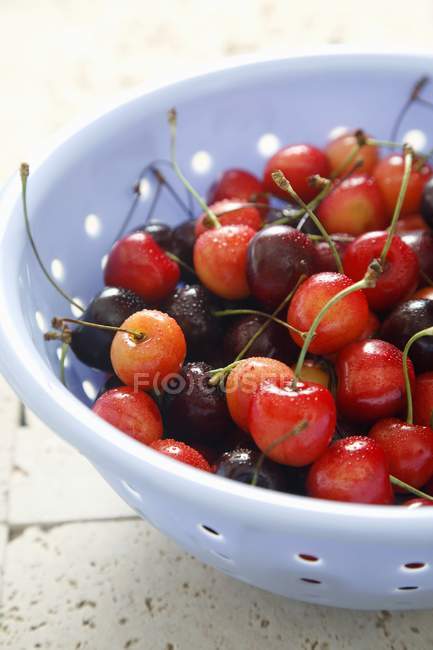 Sweet ripe cherries — Stock Photo