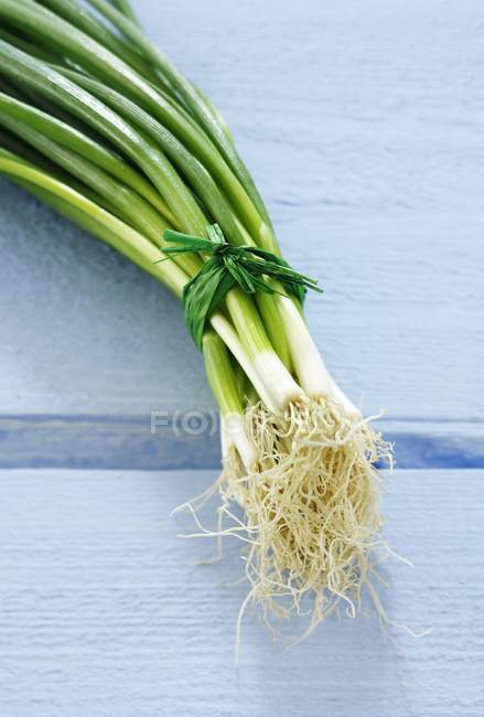 Bunch of spring onions — Stock Photo
