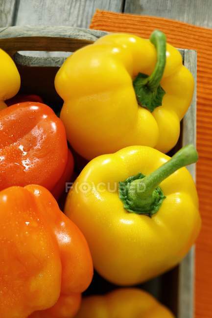 Yellow and orange peppers — Stock Photo
