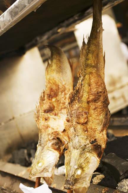 Рыба-гриль на палочках — стоковое фото