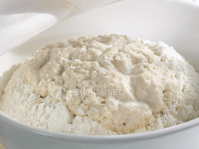 Closeup view of yeast dough in white bowl — Stock Photo