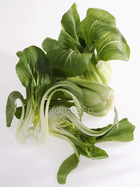 Several heads of pak choi — Stock Photo