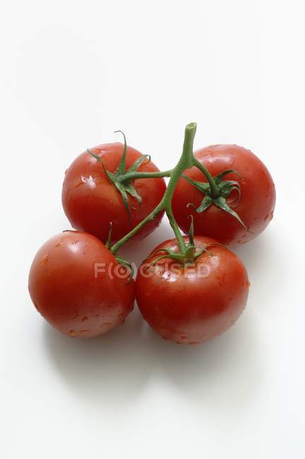 Cuatro tomates rojos - foto de stock