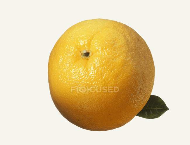 Fresh grapefruit with leaf — Stock Photo