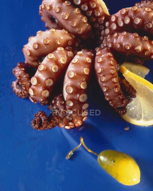Сварной осьминог с лимоном — стоковое фото