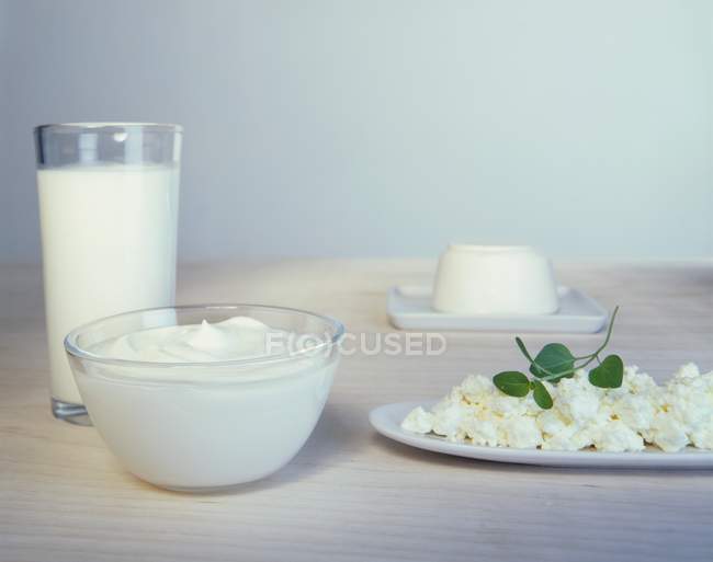 Vários produtos lácteos em tigelas — Fotografia de Stock