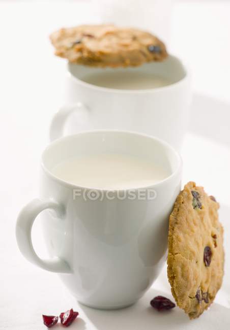 Cranberry cookies and cups of milk — Stock Photo