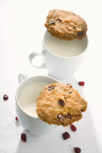 Cranberry cookies on cups of milk — Stock Photo